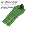 Turtle Basking Platform, Turtle Resting Basking Platform Turtle Ramp, Tortoise