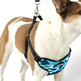 DawgKnit No Pull Dog Harness Step in Adjustable Vest Harness with Quick-Release Buckle & Dual Ring Attachment for All Breeds - Small - Teal