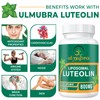 Ulmubra 800 MG Liposomal Luteolin Supplement - Maximum Absorption, Premium
