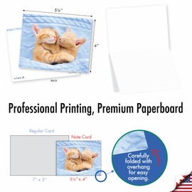 The Best Card Company Cuddling Cats - 20 Assorted Boxed All Occasions Note Cards with Envelopes (4 x 5.12 Inch) - AM2815OCB-B2x10
