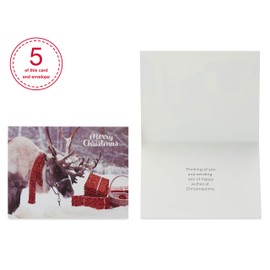 American Greetings Christmas and Holiday Cards Boxed with Envelopes, Photo Pinwheel (20-Count)