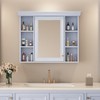 Udorich Wall-Mounted Bathroom Storage Cabinet with Mirror, Ample Space for
