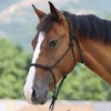 Harrison Howard Rope Halter for Horses Super Sturdy Horse Rope