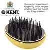 Kent Pebble Travel Hair Brush Gold