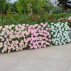 Wooden Retractable Fence Expanding Fence Hedge With Artificial Flower Leaves