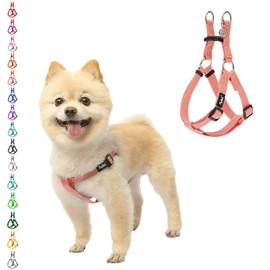 PUPTECK Arnés para perro, suave, ajustable, de nailon básico, para cachorros, para caminar al aire libre, con etiqueta de identificación