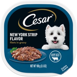 CESAR Filets in Gravy Adult Wet Dog Food, Filets in Gravy New York Strip Flavor, 3.5 oz., Pack of 24