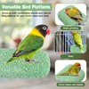 4 Pcs Bird Beak Grinding Stone, Resin Bird Perch Stand,