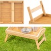 Takeda Corporation BTT24-35CZ Bamboo Tray Table Natural 15.4 x 9.1