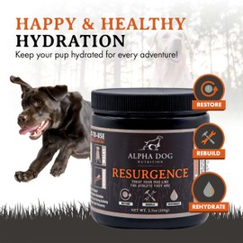 Resurgence Dog Electrolytes by Alpha Dog Nutrition | Promote Dog Hydration, Increase Stamina, and Boost Recovery | Electrolyte Water Additive or Food Topper to Prevent Dehydration with Beef Flavoring