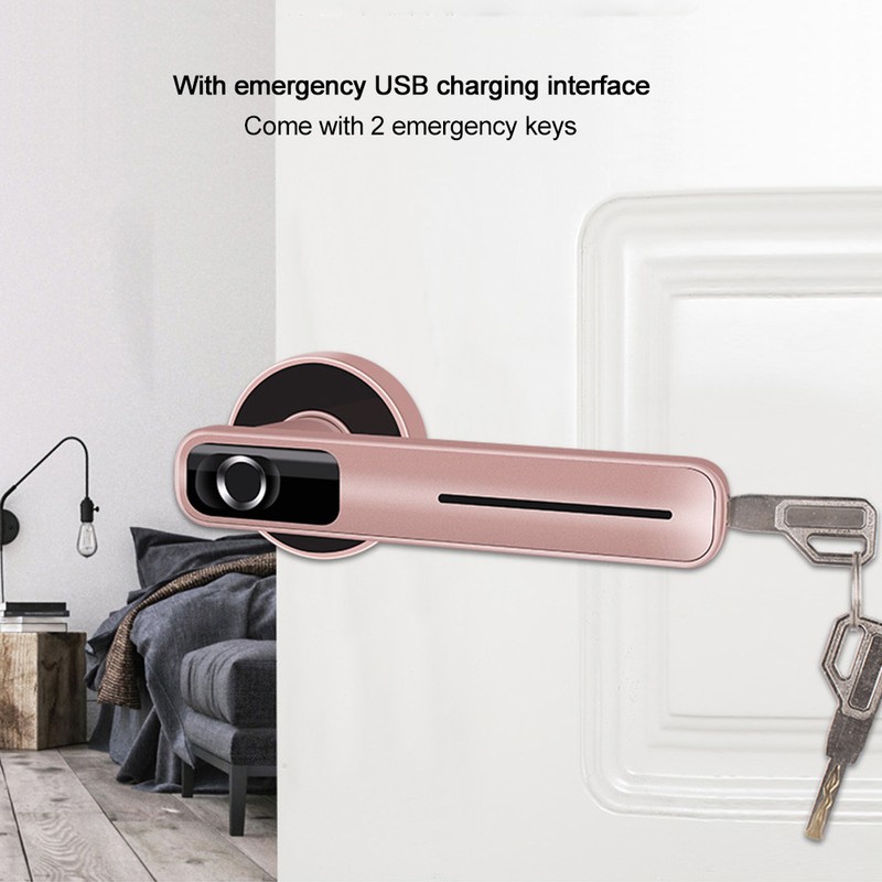 Indoor Smart Biometric Fingerprint Aluminium Alloy Security Electronic Door LockRight