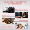 Healthy Dogma - K9 Probiotics for Dogs - Powder Probiotic