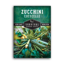 Cocozelle Zucchini Seed for Planting - 1 Packet with Instructions to Plant and Grow Cocozelle Zucchini in Your Home Vegetable Garden - Non-GMO Heirloom Variety - Survival Garden Seeds