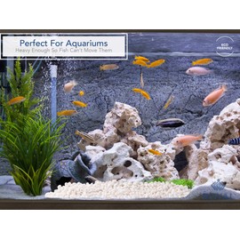 Royal Imports 5LB Decorative Stones River Pebbles Painting Rocks for Fish Aquariums, Plant Gravel, Landscaping, Home Decor Natural - Small White