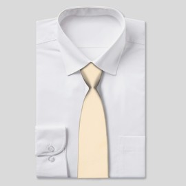 Rael-Brook Folkespeare | Men’s Satin Classic Tie | Plain