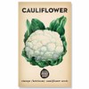 The Little Veggie Patch Co Cauliflower Heirloom Seeds, 1 pack