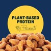 Planters Cashews Super Tube Nuts, Honey Roasted, 15-Count, 2-Ounce