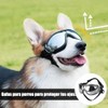 Gafas de Sol para Perro, Transparente, Ajustables | Perros Medianos