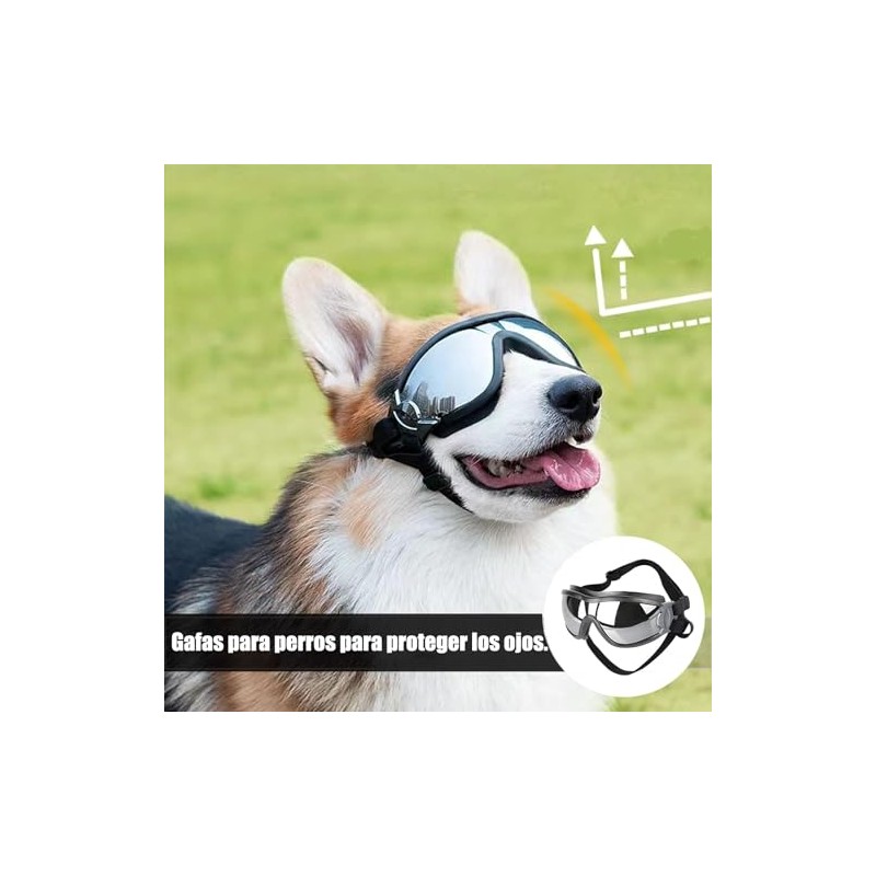 Gafas de Sol para Perro, Transparente, Ajustables | Perros Medianos