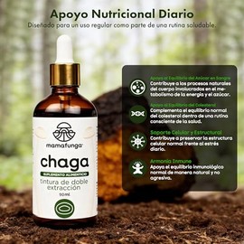 Chaga (Inonotus Obliquus) - Extracto Líquido de Abedul Silvestre | Tintura de Doble Extracción | Apoyo Nutricional para la Vitalidad y el Bienestar Ge