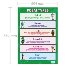 Poem Types | English Literature Posters | Laminated Gloss Paper measuring 850mm x 594mm (A1) | English Lit Classroom Posters | Education Charts by Daydream Education
