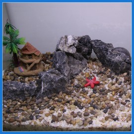 RENEWREVITAL Coral Reef Decor, Mini Faux Coral Decor for Aquarium Decorations, Red, 1.69"x1.69" Routine