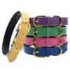 Aolove Basic Classic Padded Leather Pet Collars for Cats Puppy