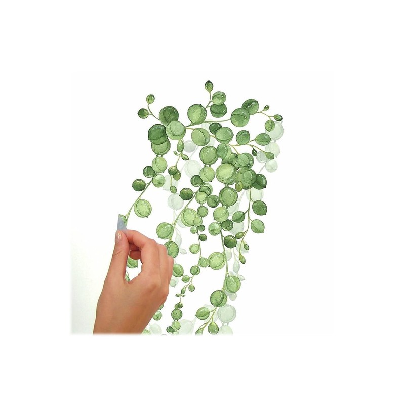 RoomMates RMK3903SCS Wall Sticker, Green & White, Peel & Stick