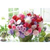 500 Piece Jigsaw Puzzle Brilliant Flower Compact Piece (26x38cm)