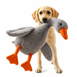 2 Pcs Cute Duck Plush Pet Toy for Dogs & Cats – Soft Interactive Companion Toy for Home Play, Comfort and Indoor Entertainment