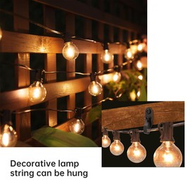 Elrswy Light Hanger Hooks,Screw Hooks for Hanging Christmas Light,Light Wire and Led Fairy Led Light Clips,Stainless Steel,Black,40 Pack