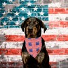 PTDECOR American Flag Dog Bandana Striped Stars Patterns, 4th of