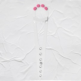 Pet Door Safety Latch Lock Door Lock 2ea