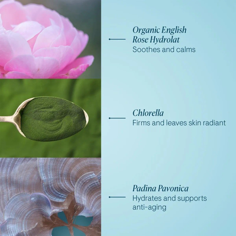 Crema Elemis Pro Collagen Rose Marine Hidratante Antiarrugas
