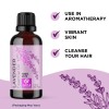 Maple Holistics Pure Lavender Oil Essential Oil