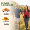 Zenwise Health Joint Support Supplement with Glucosamine Chondroitin MSM, Curcumin