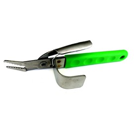 kurabuje (Club J) Gotta Say, with Grass & Nipper 720104 