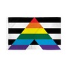 Gay Straight Alliance Flag 3' x 5' grommets