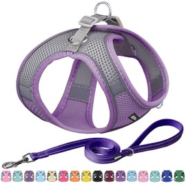 AIITLE Escape Proof Dog Harness - Step in Adjustable Dog Harness No Choke Over with Breathable Mesh and Quick-Release Buckle for All Weather- Outdoor Walking, Training for Medium Dogs Purple XL
