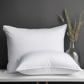 Pillow Protectors with Zipper Queen Size-100% Cotton Pillowcases for Hair and Skin, Comfort Soft Pillow Case Protector for Easy Care, White Pillow Cases Covers with Hidden Zipper, 1 Pack/20X30