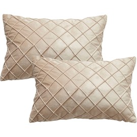 GONOVE Velvet Cushion Covers 30X50cm Soft Decorative Beige Throw Pillow Cases Pack of 2 Square Pillow Covers Pillowcases with Invisible Zipper for Home Couch Sofa Bed