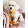 Sunshine Daisy Dog Harness S
