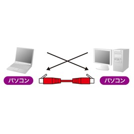 Sanwa Supply KB-10T5-05CN UTP Enhanced CAT5 High Grade Single Wire Crossover Cable, 5m, White