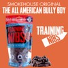 Bully Boy's Famous Beef Training Nibs Dog Treats | Free