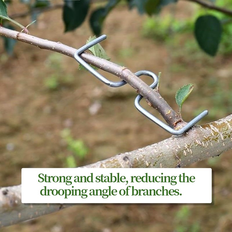 ZHAO GE Pack of 33 Branch Supports for Fruit Trees,