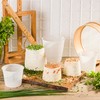15 x Cheese Mould 10.3 x 7.8 cm - Variations