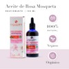 Pure Rose Hip Oil 100% Ecological 100ml Cold Pressed For