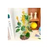 Home And Kitchen Product Mini Set 1in for daily use