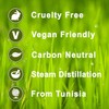 Rosemary 100% Pure Essential Aromatherapy Oil 10ml