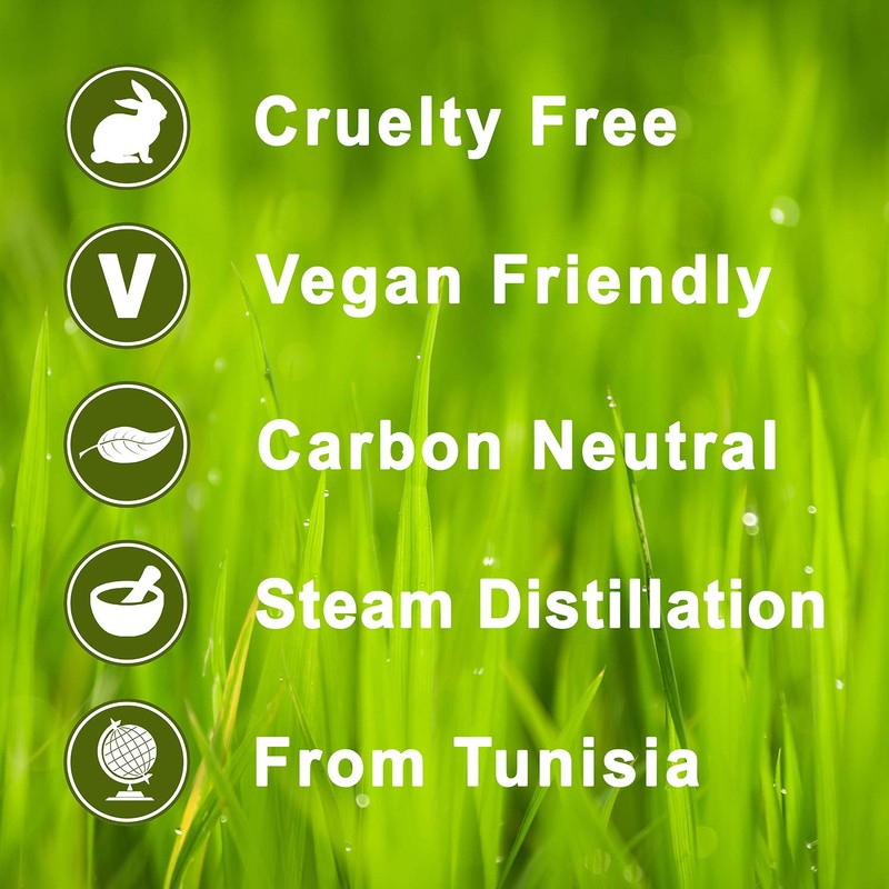 Rosemary 100% Pure Essential Aromatherapy Oil 10ml